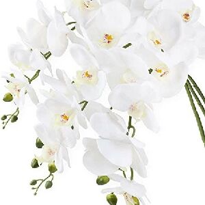 ORQU&Iacute;DEA PHALAENOPSIS BRANCA 3 GALHOS