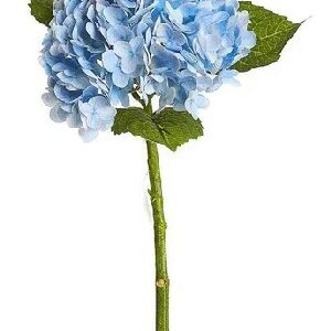 GALHO HORT&Ecirc;NCIA AZUL