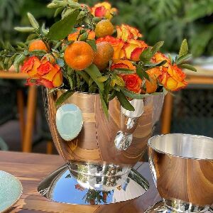 BALDE PELE G COM PE 20,5X28,5CM