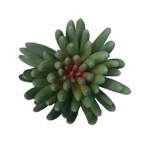 SUCULENTA ROSA DE PEDRA CINZA 15X10CM