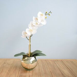 ARRANJO COM ORQU&Iacute;DEA EM VASO COM MUSGO