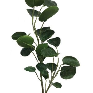 BUSH LOTUS VERDE 36X10X10CM