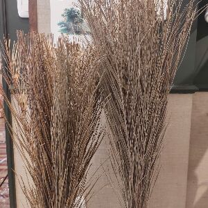 VASSOURA RUSTIC VERDE MED