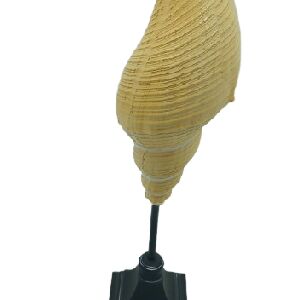 CORAL DECOR EM RESINA BRANCO BASE PRETA