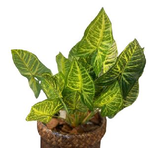 PLANTA ARTIFICIAL PVC COM VASO PRETO