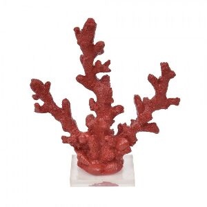 CORAL FINO VERMELHO 19X8X20CM