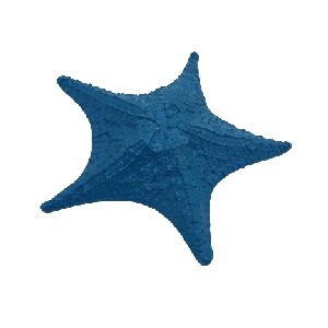 ESTRELA DO MAR RESINA AZUL LAPIS 15X15CM