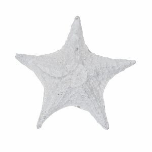 ESTRELA DO MAR RESINA BRANCA 15X15CM